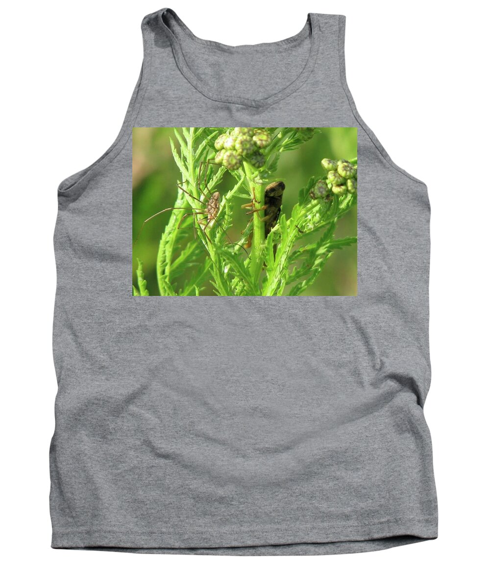 Spider Tank Top featuring the photograph Standoff by Sharon Duguay