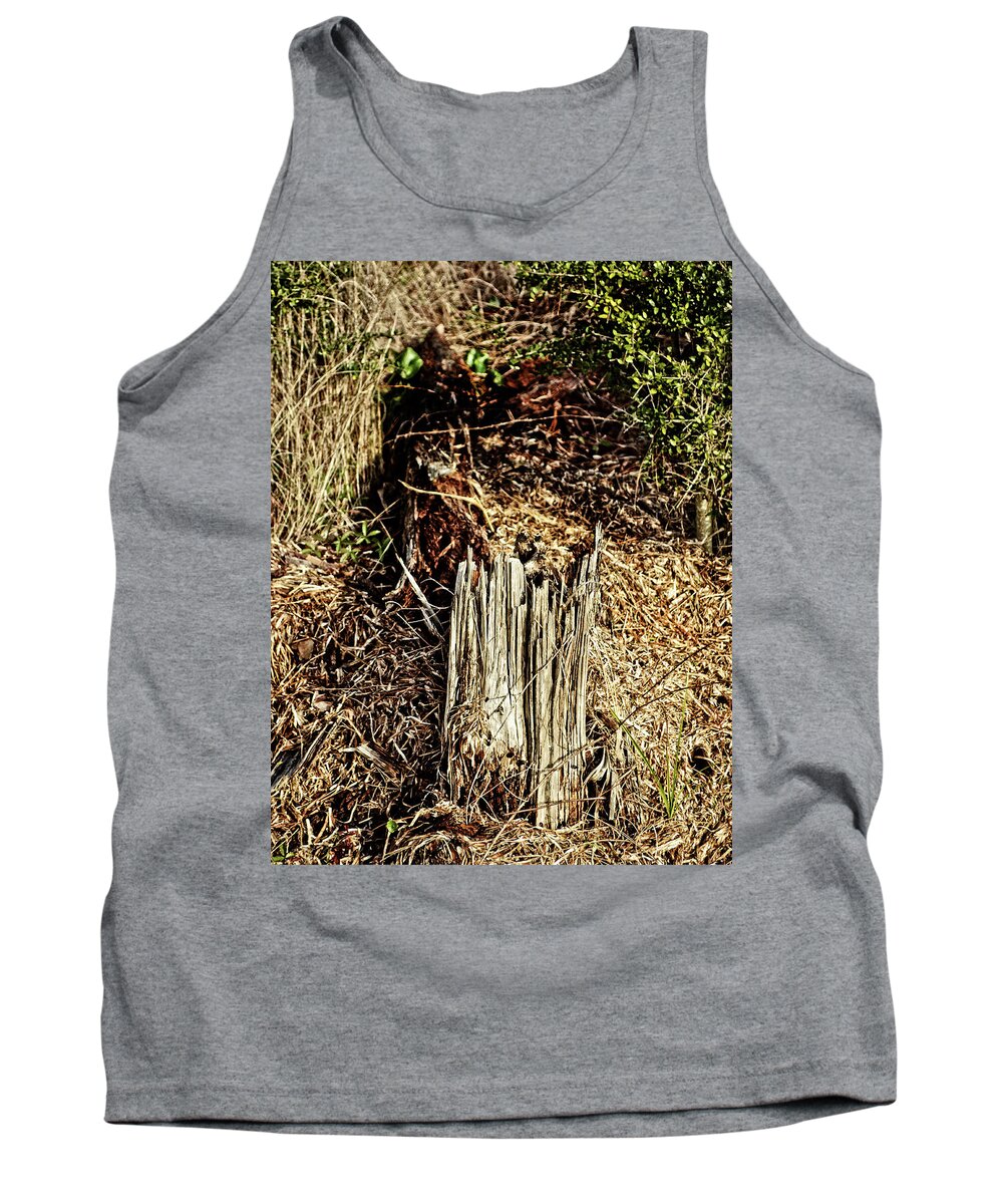 Beach Tank Top featuring the photograph Stump in Swamp by Maggy Marsh