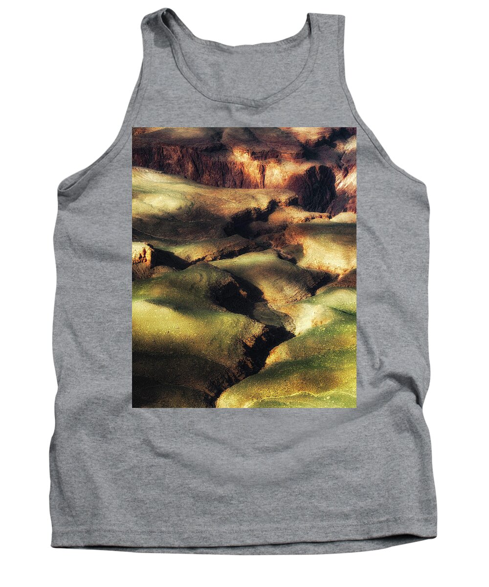 Landscape Tank Top featuring the photograph The Canyon Floor by Ron McGinnis