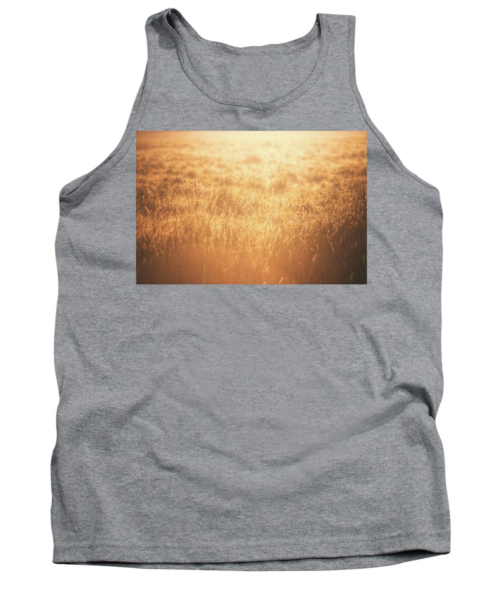 Land Tank Top featuring the photograph The Golden Morning by Jaroslav Buna