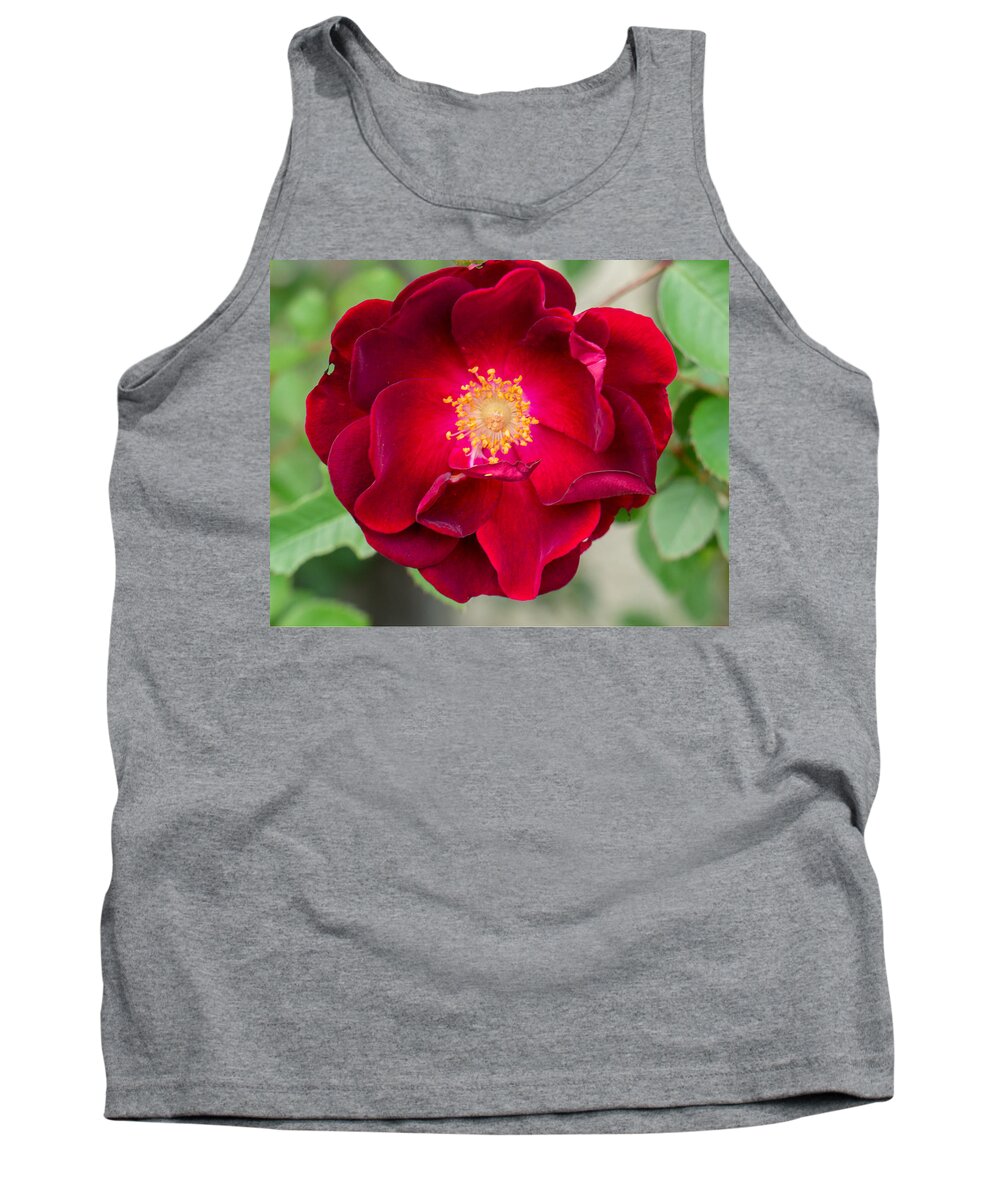 Flower Tank Top featuring the photograph The Red Rose by Ivars Vilums