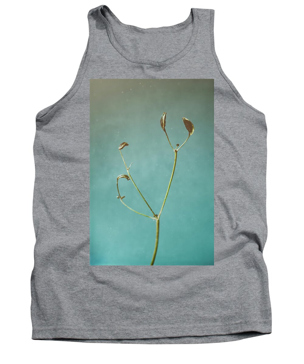 Dill Tank Top featuring the photograph Tiny Seed Pod by Scott Norris