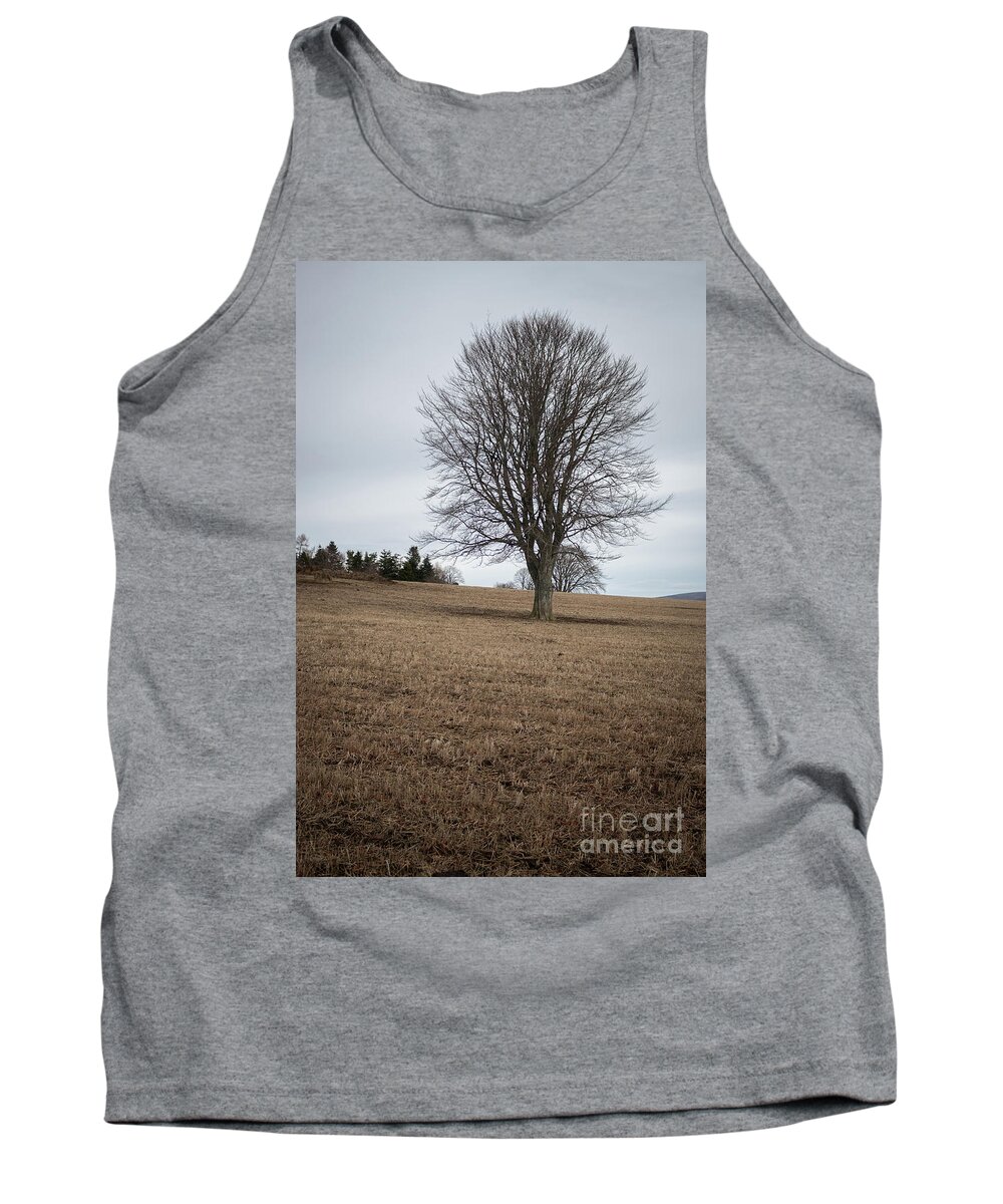 Aberdeenshire Tank Top featuring the photograph Tree in Field by SJ Elliott Photography