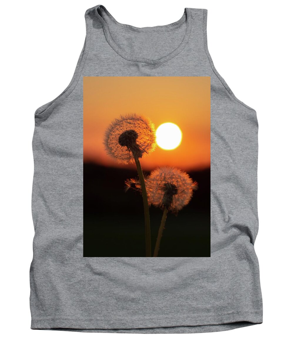 Tropesummer Tank Top featuring the photograph Trope Summer by Rose-Marie karlsen