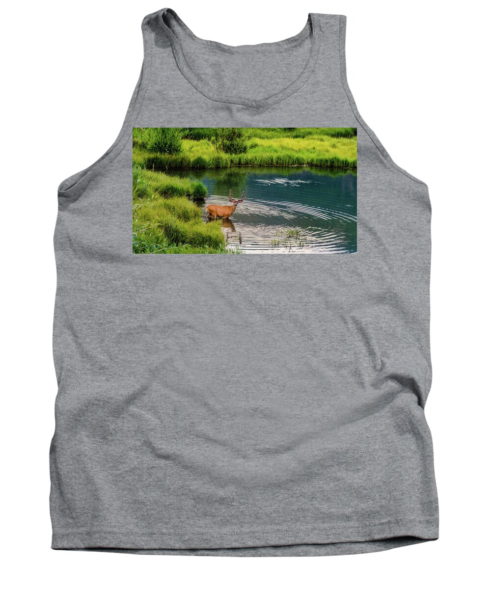 Aspens Tank Top featuring the photograph Velvet Waters by Johnny Boyd