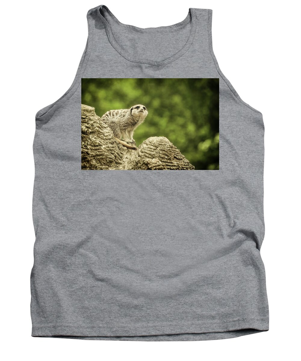 Meerkat Tank Top featuring the photograph Watchful Meerkat by Chris Boulton