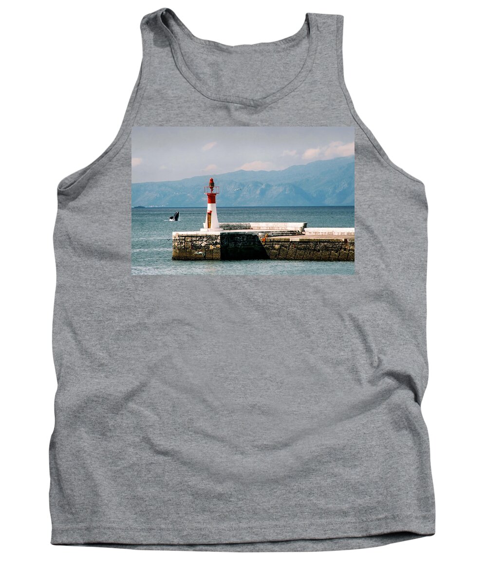 Whale Tank Top featuring the photograph Whale Breaching by Andrew Hewett