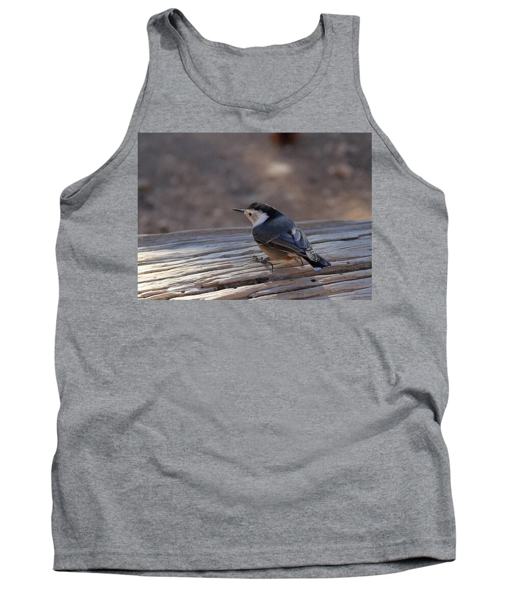 Bryce Canyon National Park Tank Top featuring the photograph White Breasted Nuthatch by Ed Riche