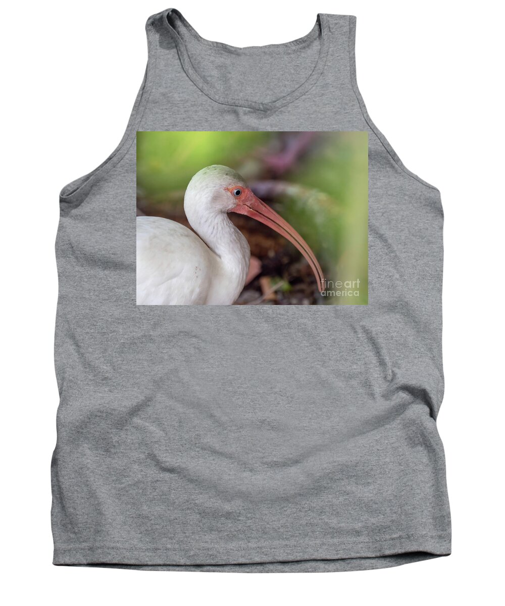White Ibis Tank Top featuring the drawing White Ibis by Scott and Dixie Wiley