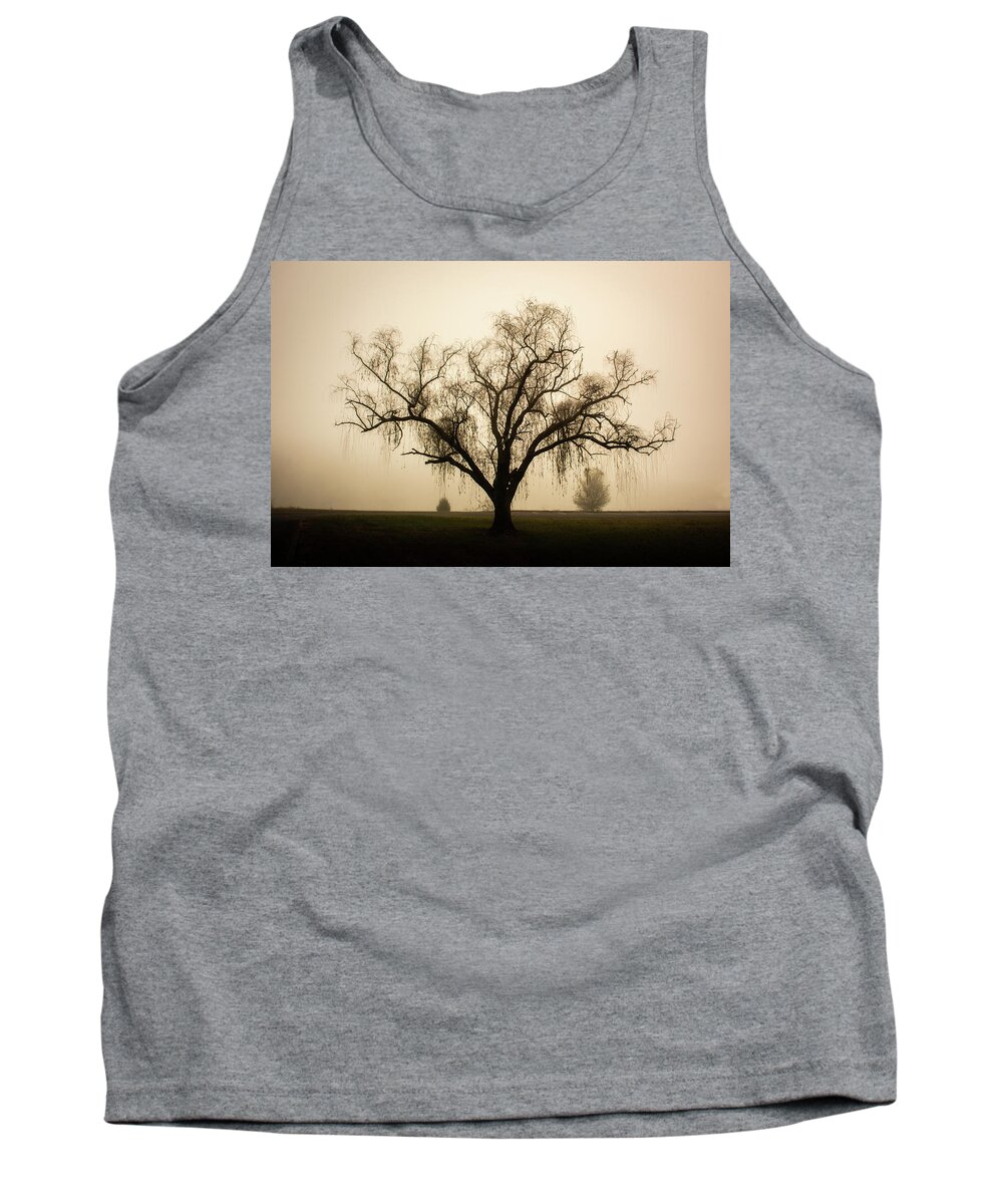 Willow Tank Top featuring the photograph Willow in Fog by Douglas Wielfaert