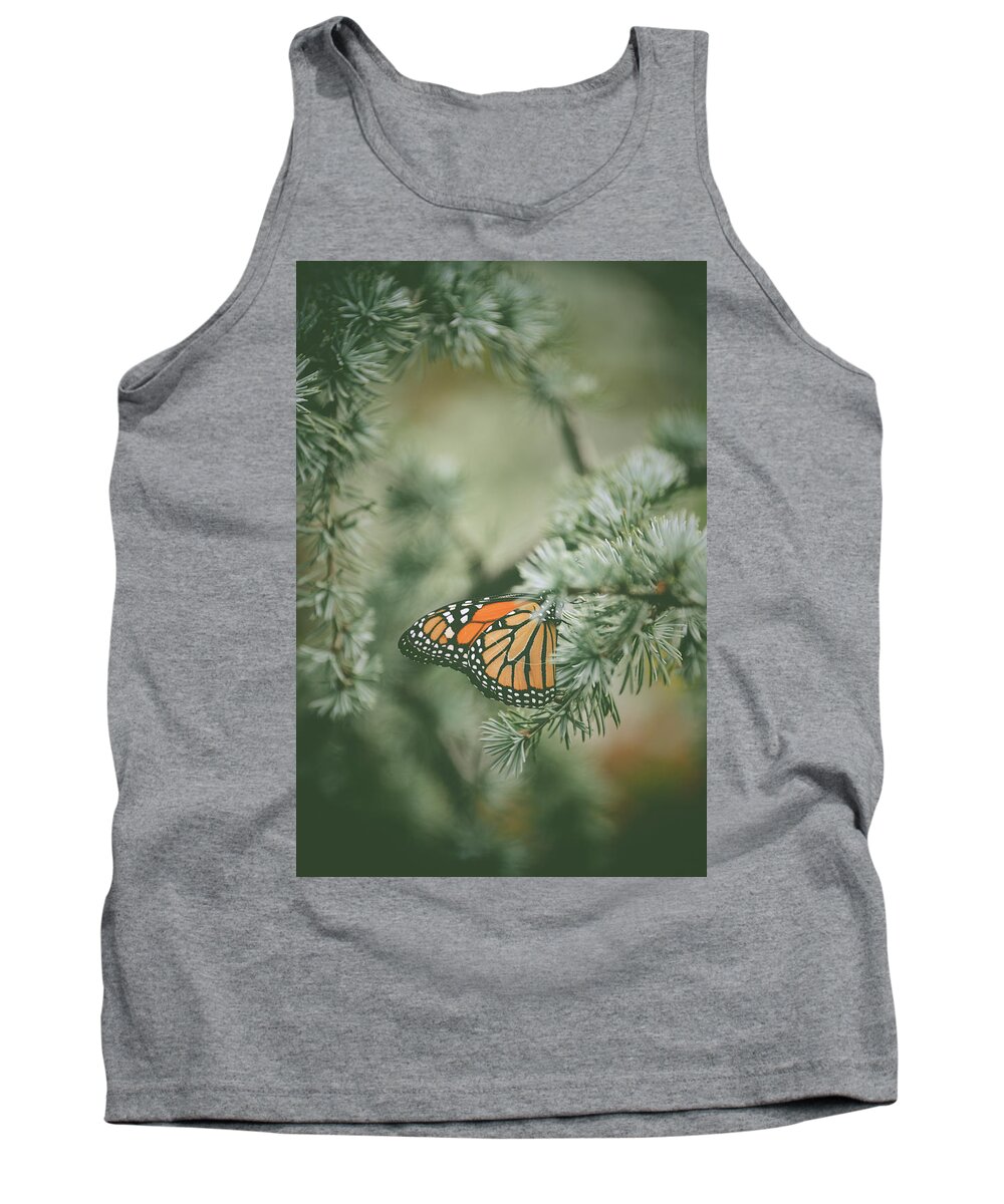 Pine Tank Top featuring the photograph Winter Monarch by Michelle Wermuth