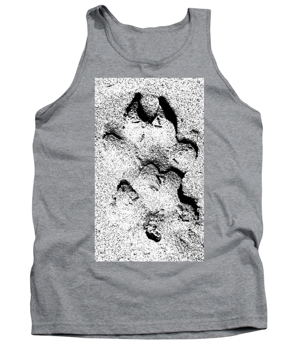 Wolf Tank Top featuring the photograph Wolf by Fred Bailey
