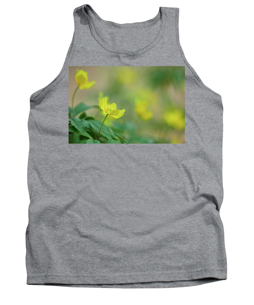 Anemone Ranunculoides Tank Top featuring the photograph Yellow anemone and friends by Jouko Lehto