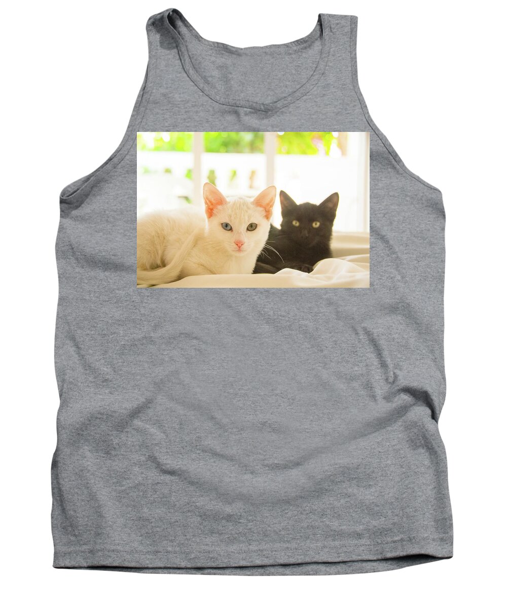 (2) Cats. One Black And One White With A Blue Eye And A Green Eye. Tank Top featuring the photograph Ying and Yang Kitties by Tito Slack