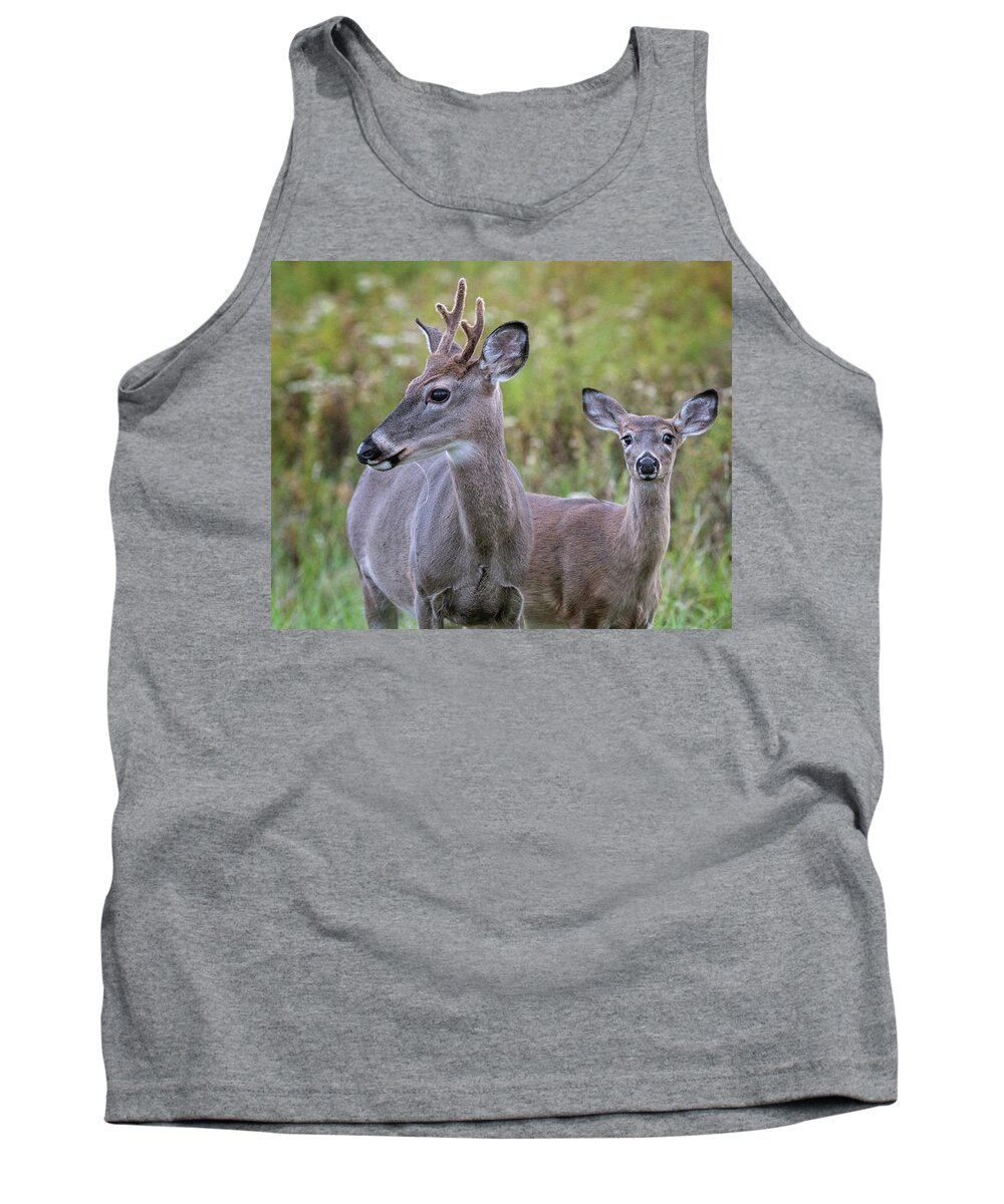 White Tail Deer Tank Top featuring the photograph Young Buck and friend by Jaki Miller