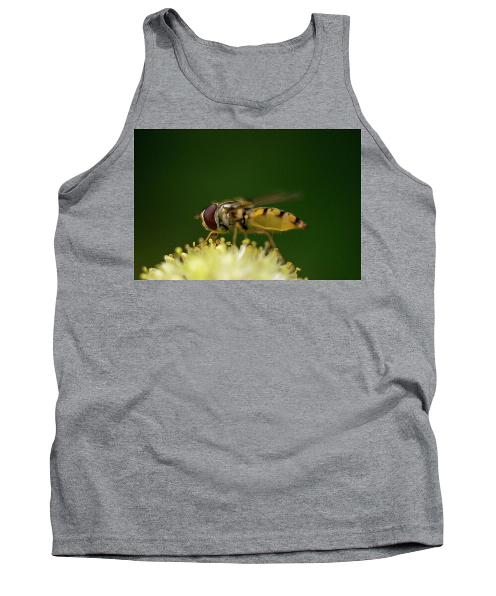 Nature Tank Top featuring the photograph A hoverfly enjoying flower nectar #2 by Maria Dimitrova