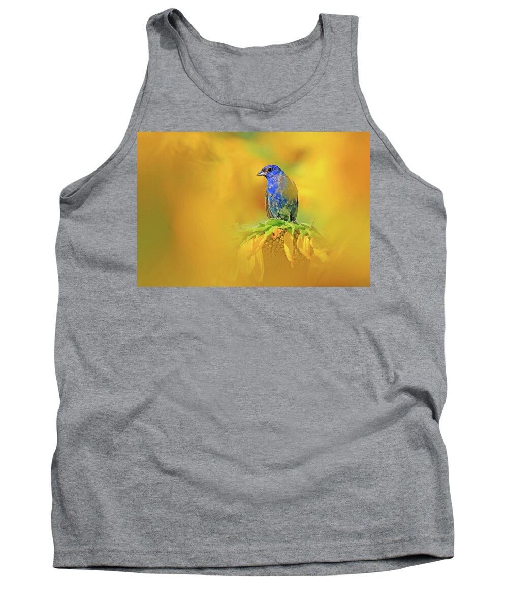 Indigo Bunting Tank Top featuring the photograph An Indigo Bunting Perched on a Sunflower #1 by Shixing Wen