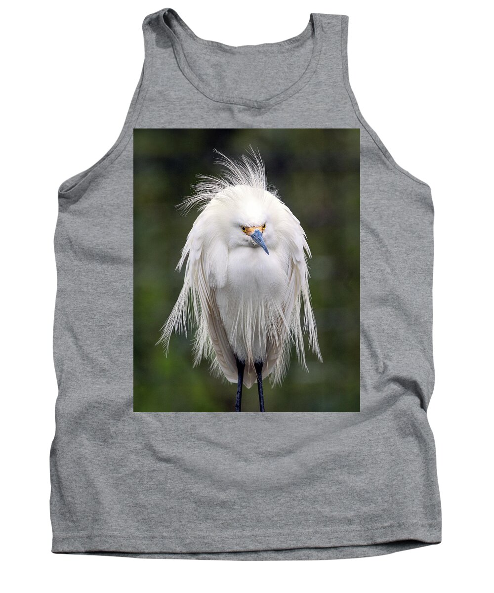 Snowy Egret Tank Top featuring the photograph Bad Hair Day #2 by Jaki Miller