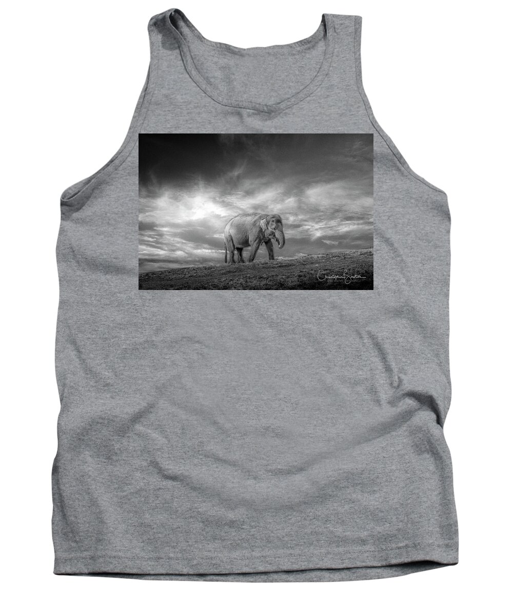 Elephant Tank Top featuring the photograph Never Forget by Chris Boulton