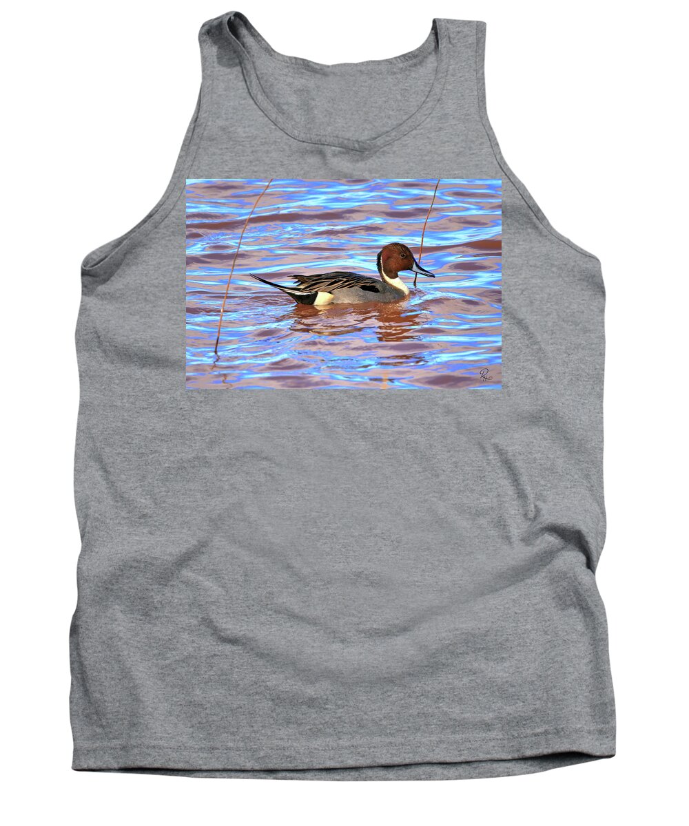Duck Tank Top featuring the photograph Pintail Drake #1 by Robert Harris