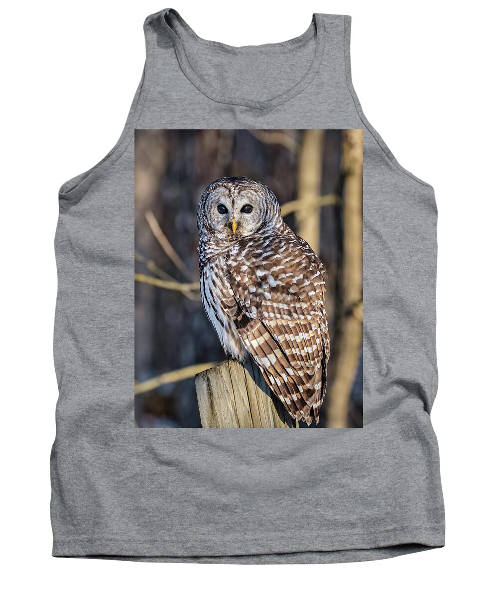 Barred Owl Tank Top featuring the photograph Barred Owl #12 by Brad Bellisle