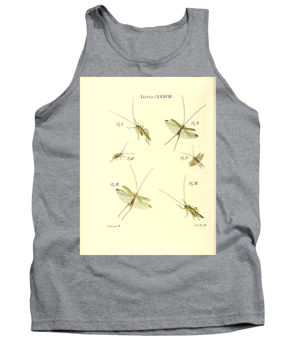 Grasshoppers Tank Top featuring the mixed media Insects #172 by World Art Collective