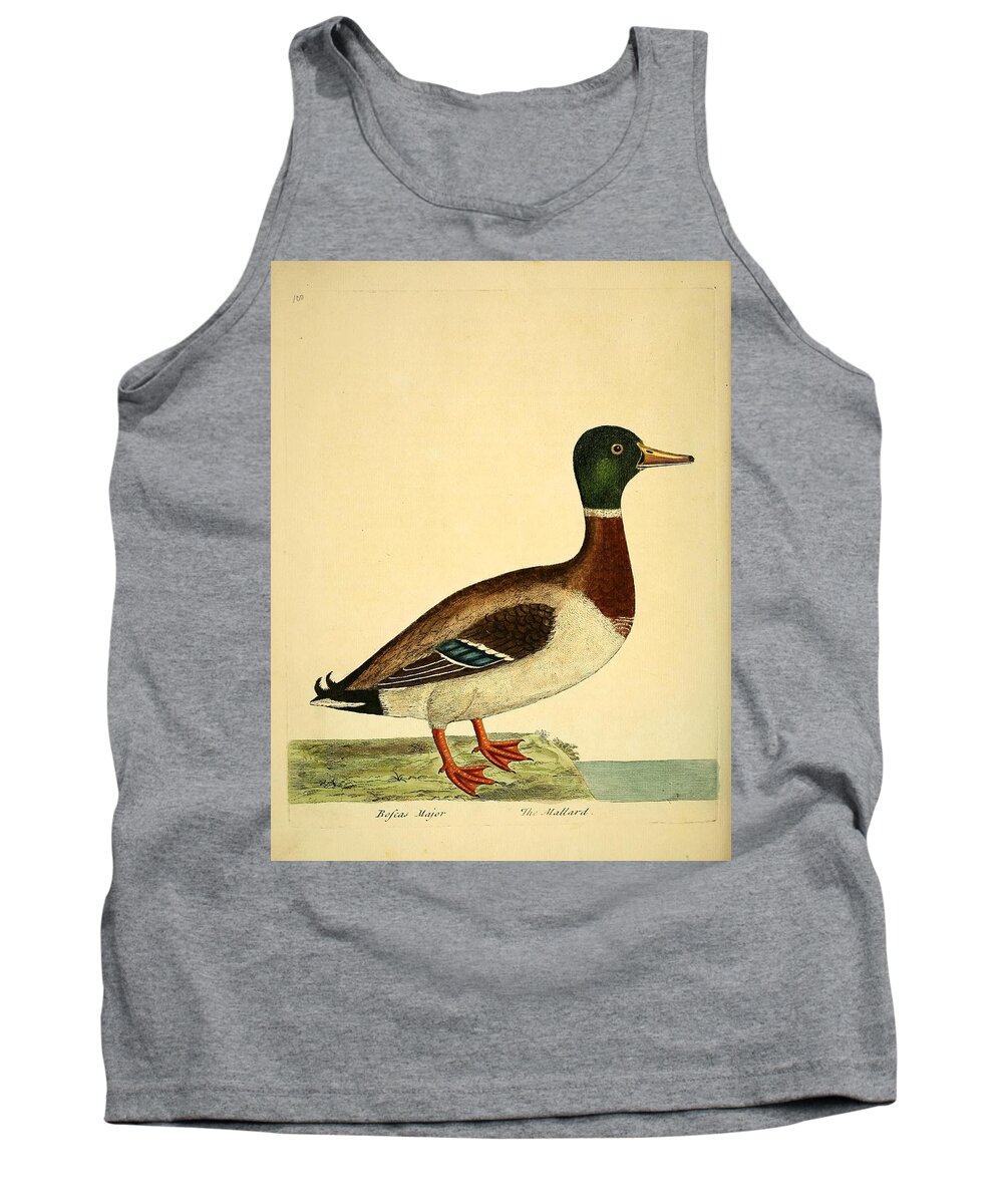 Ducks Tank Top featuring the mixed media Beautiful antique waterfowl #24 by World Art Collective