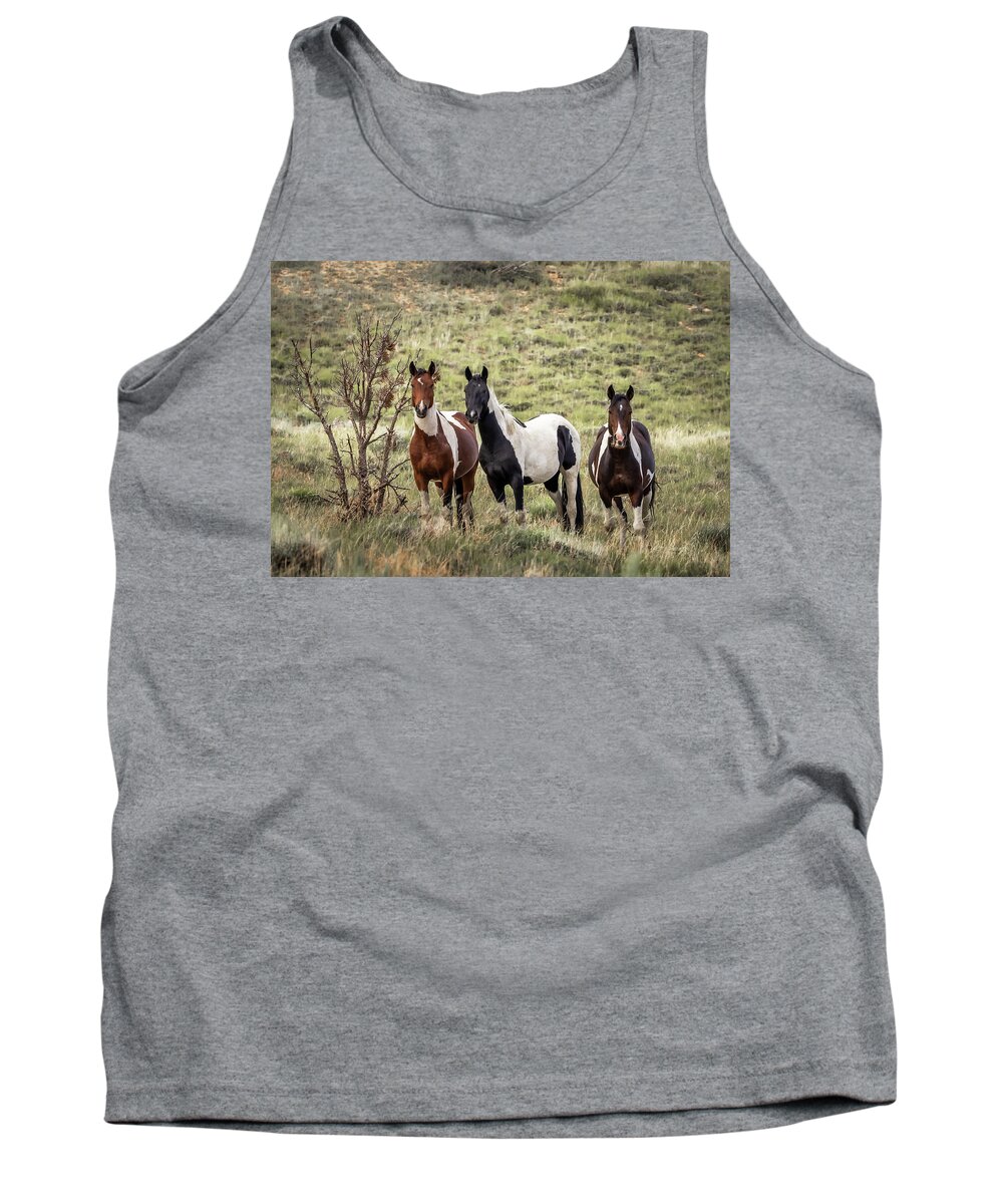 Horse Tank Top featuring the photograph Wild Horses #26 by Laura Terriere