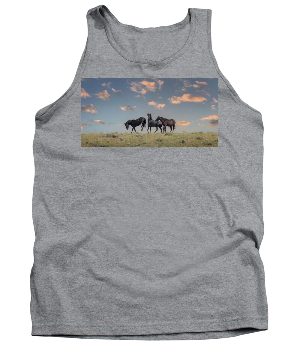Horse Tank Top featuring the photograph Wild Horses #29 by Laura Terriere