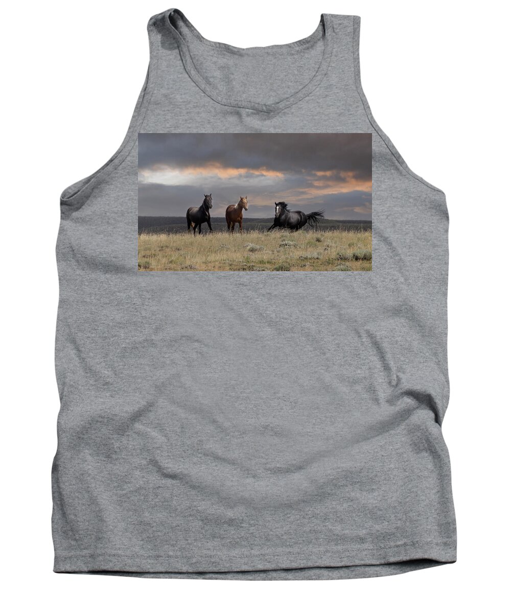 Horse Tank Top featuring the photograph Wild Horses #31 by Laura Terriere
