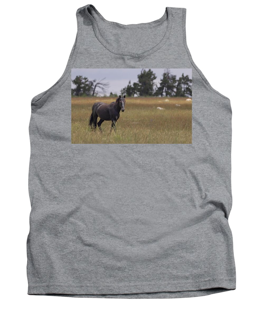 Horse Tank Top featuring the photograph Stallion #6 by Laura Terriere