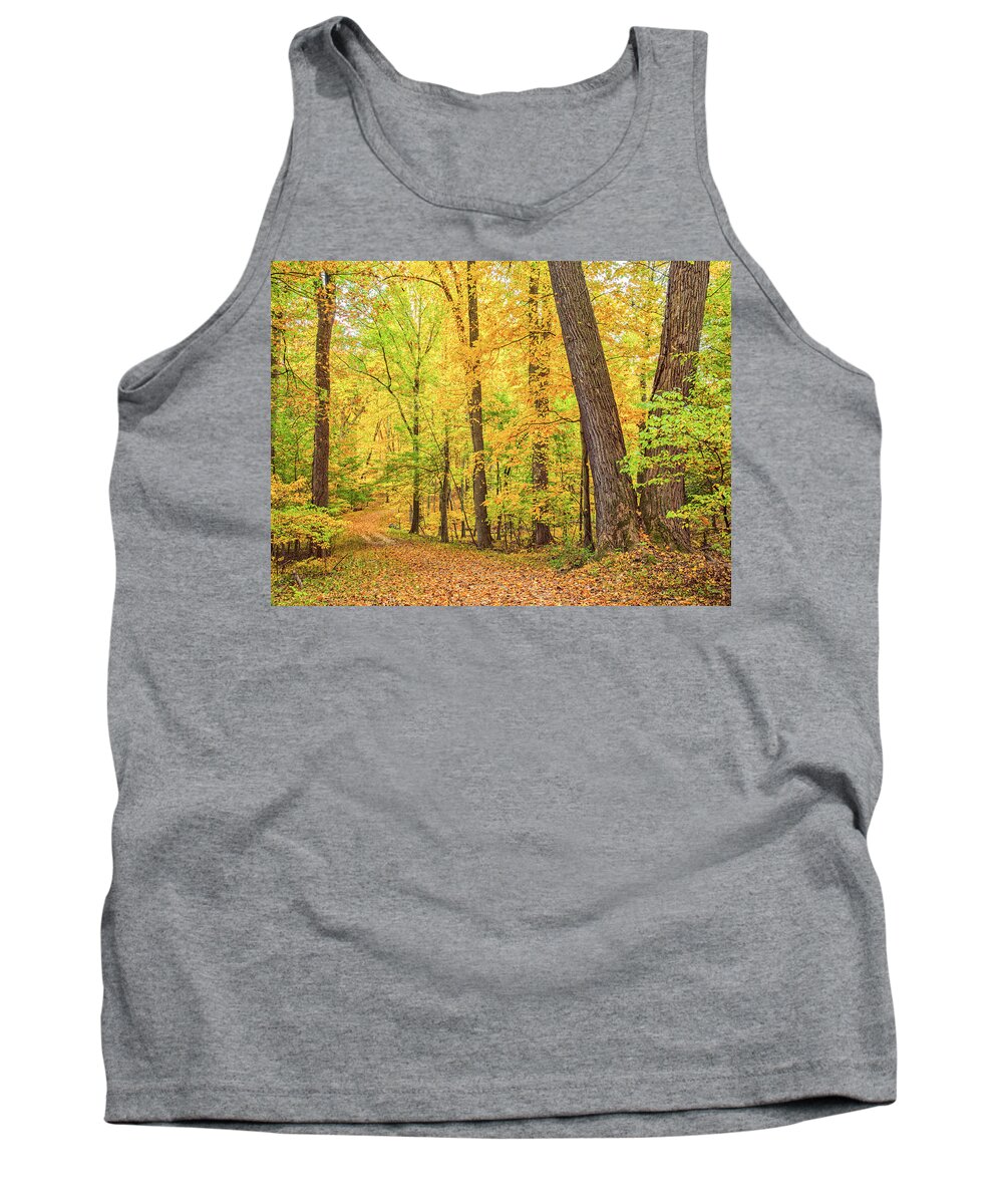 Fall Tank Top featuring the photograph A Carpet of Leaves by Marianne Campolongo