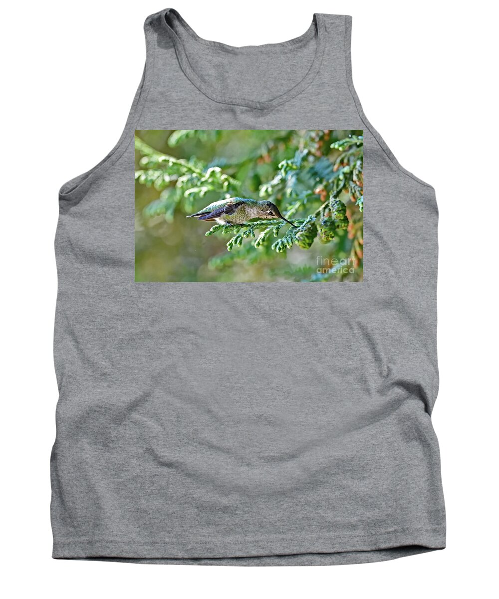 Anna's Hummingbird Tank Top featuring the photograph A Curious Anna's Hummingbird by Amazing Action Photo Video