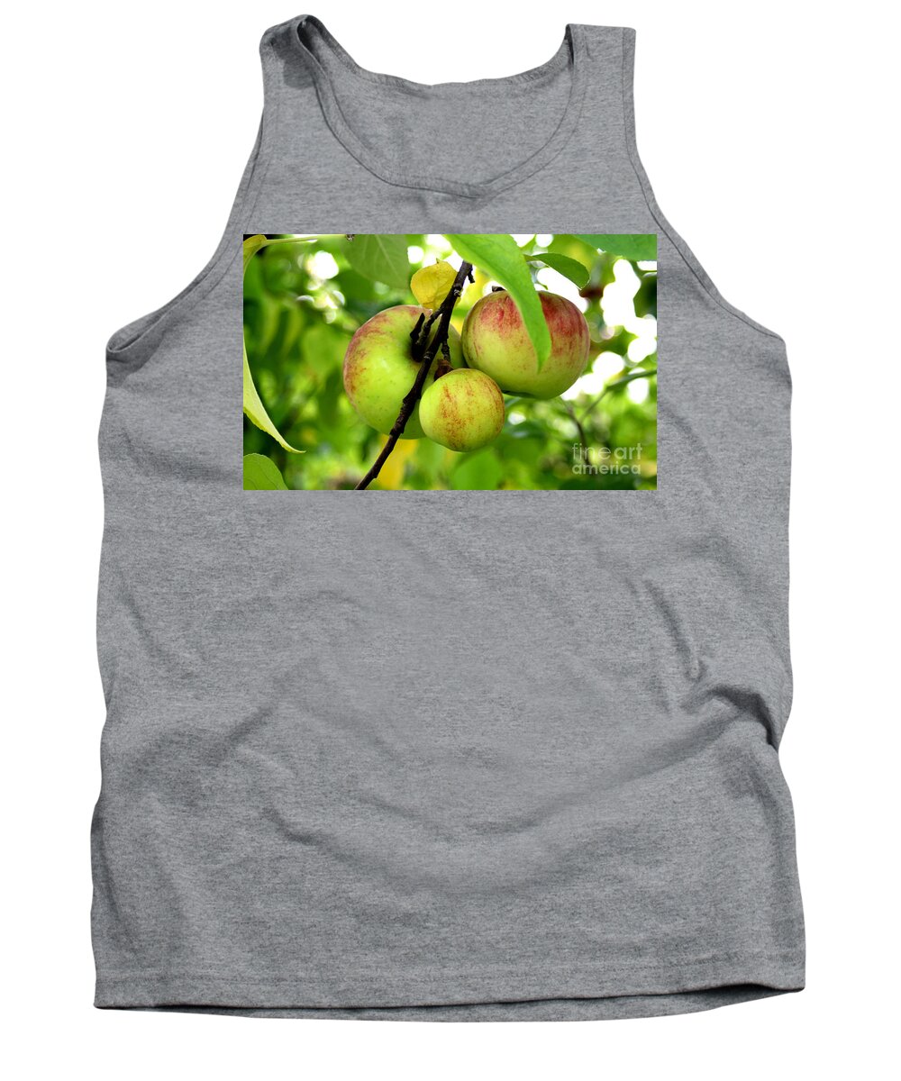 Apples Tank Top featuring the photograph A Family Growing Together by Frances Ferland