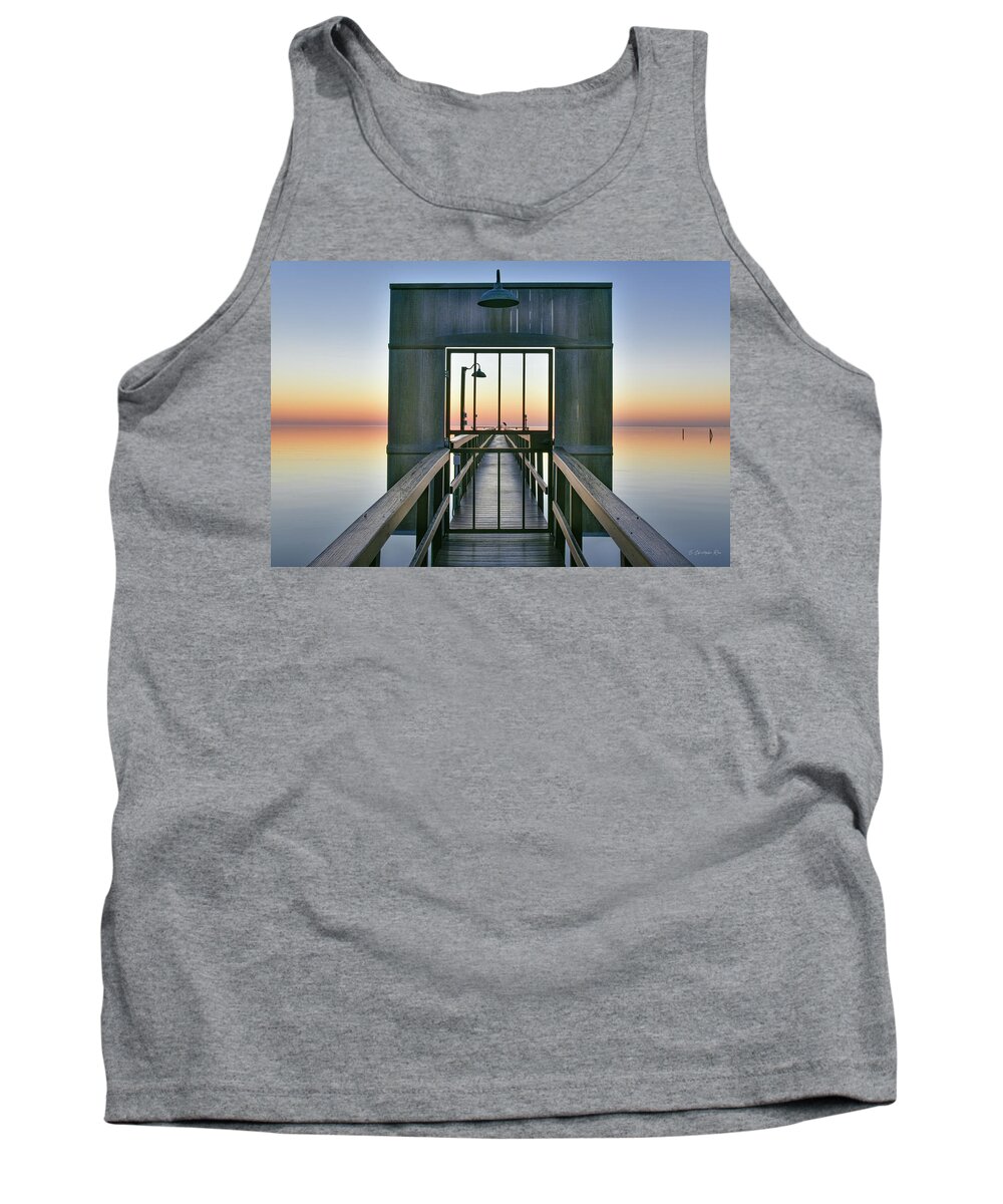 Aransas Tank Top featuring the photograph A Good Beginning by Christopher Rice