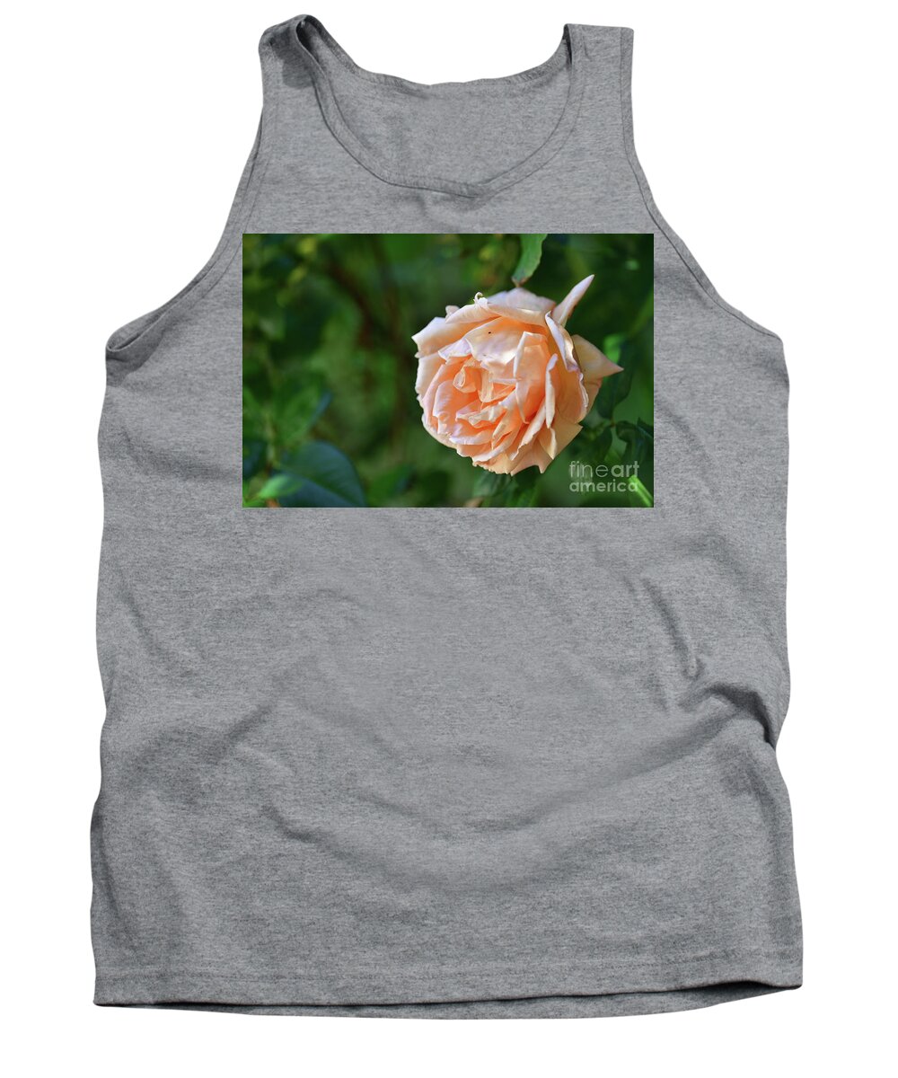 Rose Tank Top featuring the photograph A Huge Rose by Amazing Action Photo Video