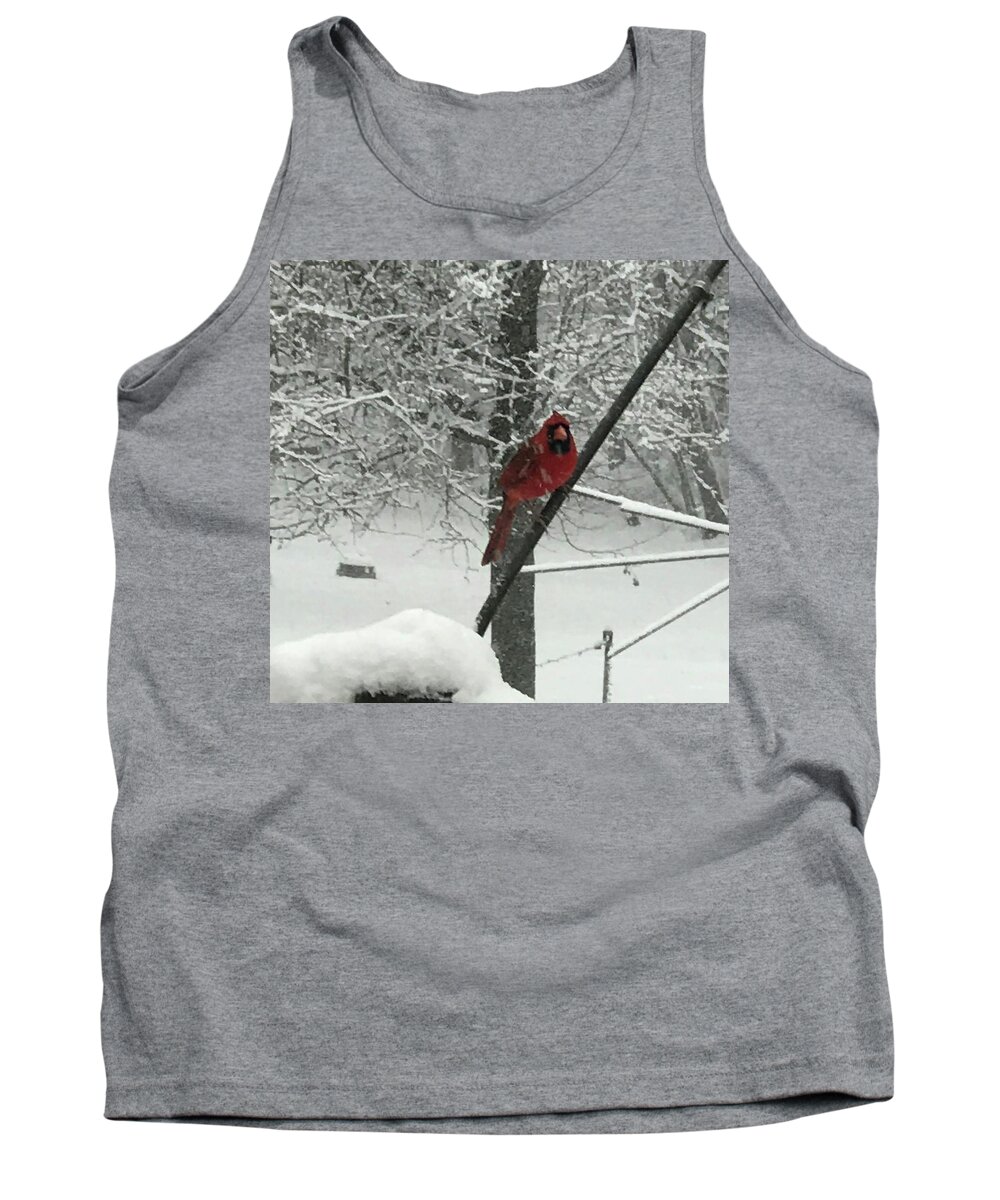 Cardinal Tank Top featuring the photograph A Natural Selectively Colored Image by Calvin Boyer