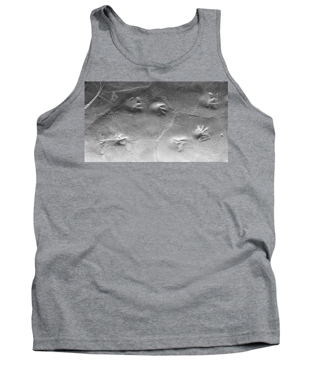 Amphibian Tank Top featuring the photograph A stone book by Karine GADRE