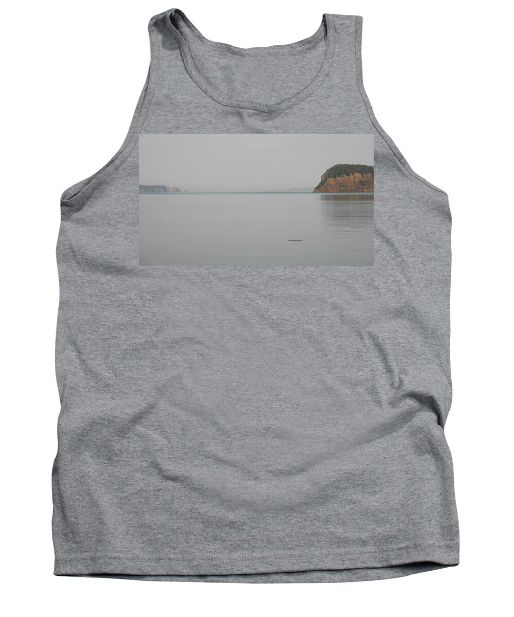 Partridge Island Tank Top featuring the photograph Across the Bay to Cape Split by Alan Norsworthy