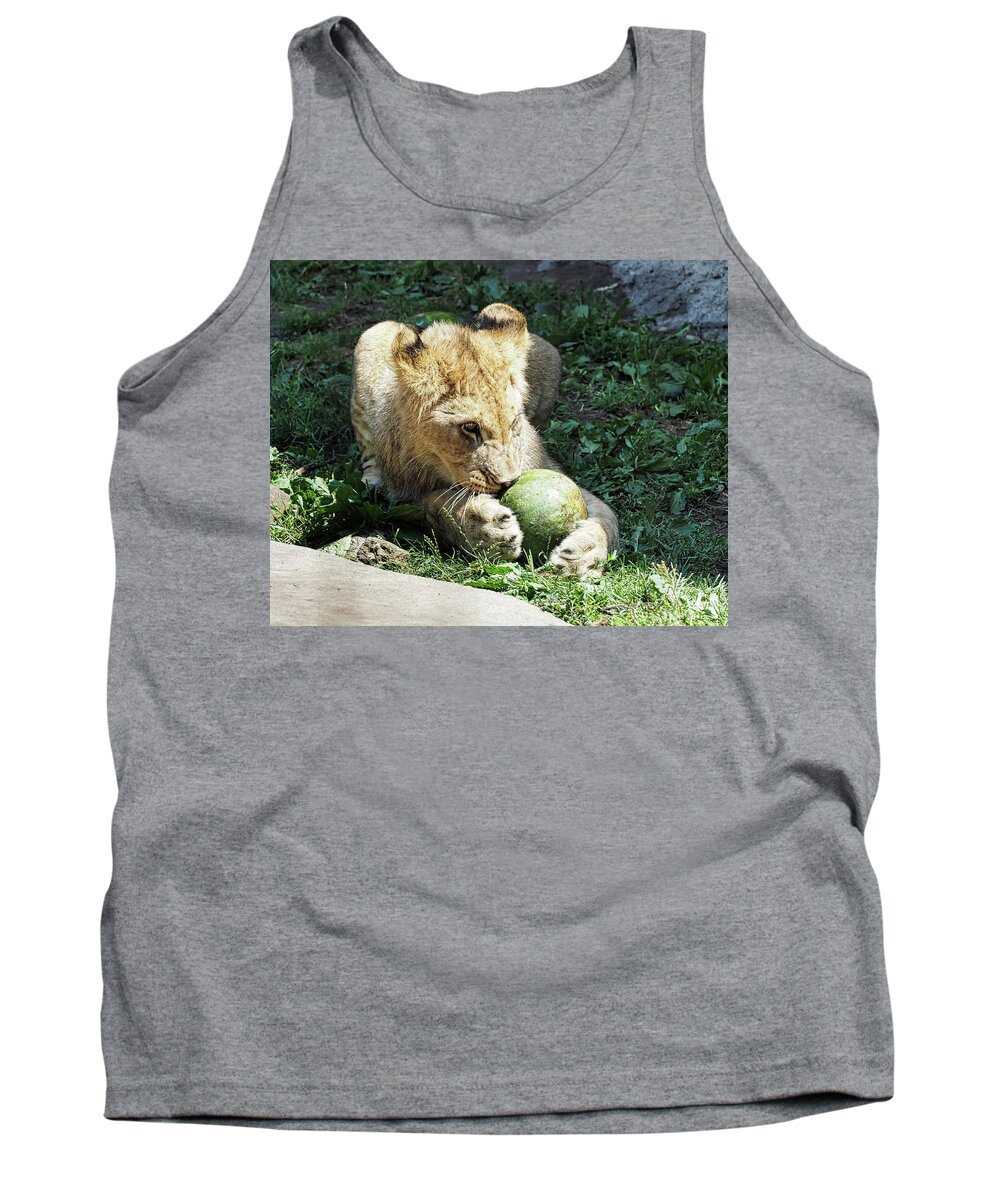 African Lion Tank Top featuring the photograph African Lion by Scott Olsen