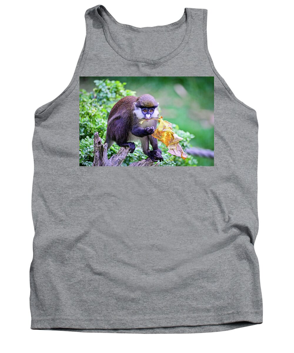 Wildlife Tank Top featuring the photograph Allens swamp monkey posing by Ed Stokes