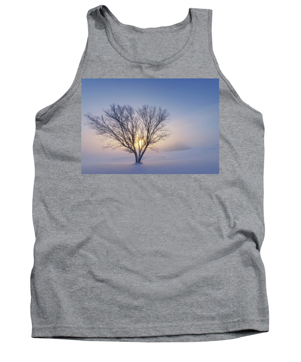 Tree Tank Top featuring the photograph Alone in the Snow by Dan Jurak