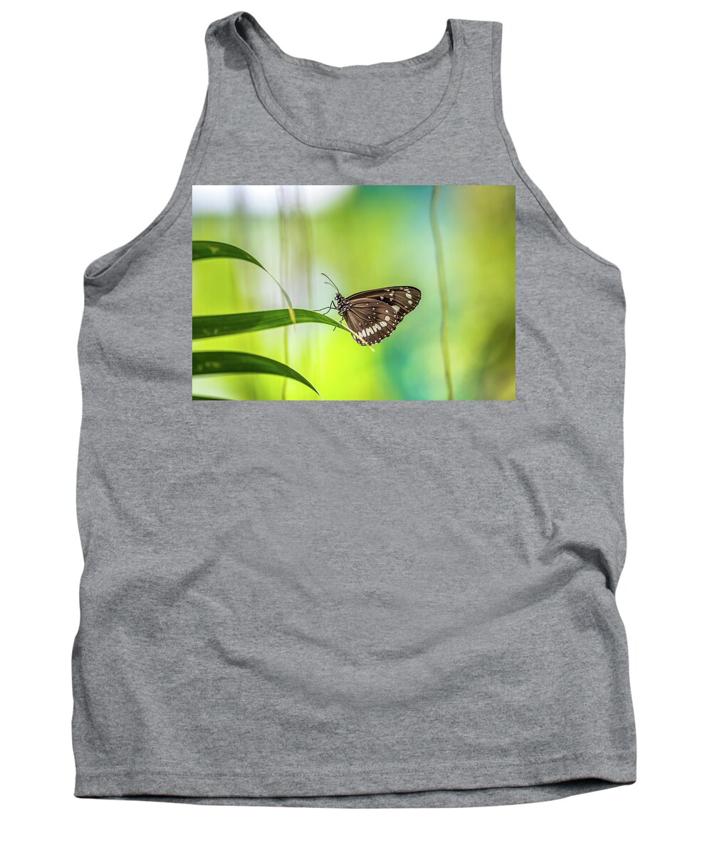 Beautiful Butterfly Tank Top featuring the photograph Alone Time by Az Jackson