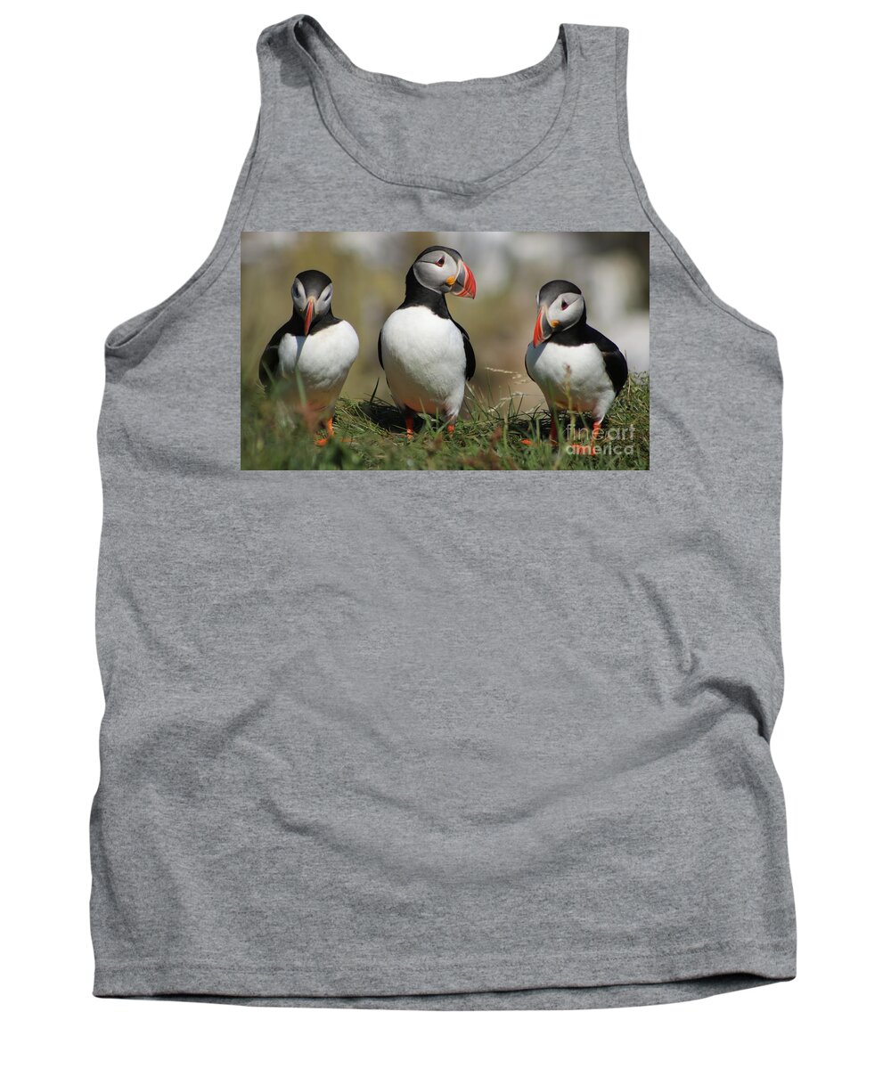 Sea Tank Top featuring the photograph Amigos by Michael Graham