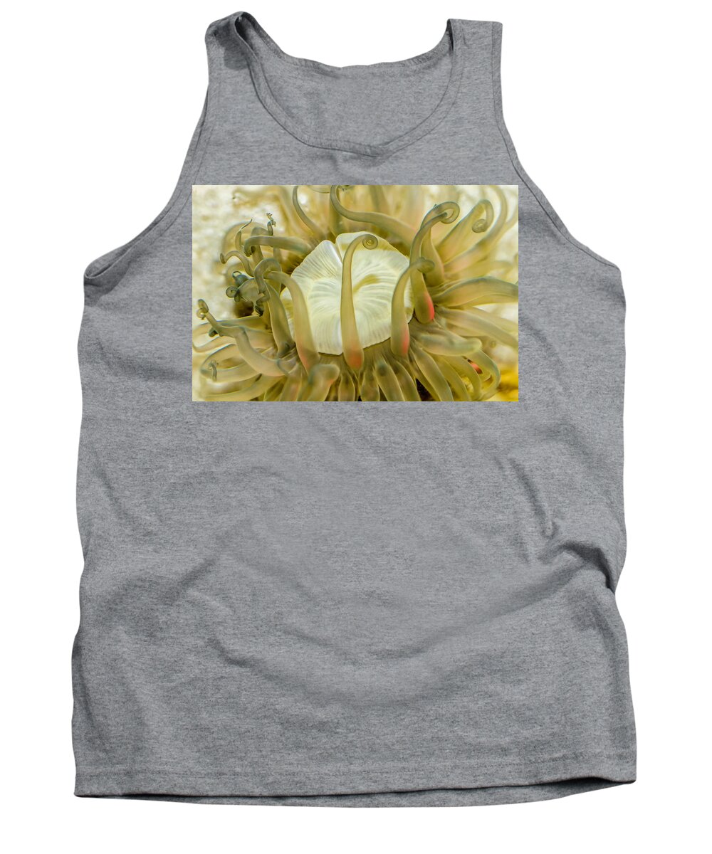 Anemone Tank Top featuring the photograph Sea Anemone with Red by WAZgriffin Digital