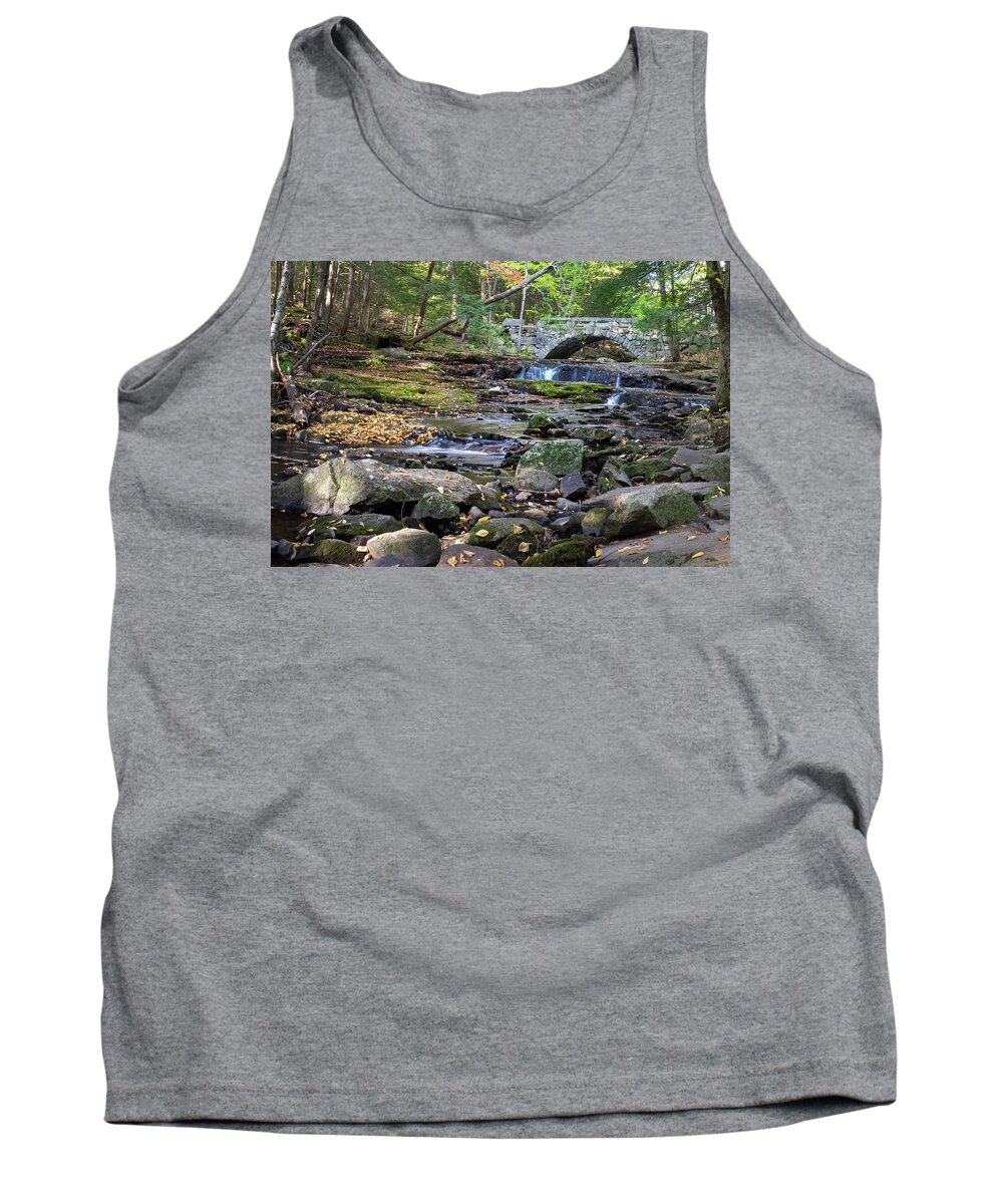 Vaughan Woods Tank Top featuring the photograph At the Vaughan Woods 11 by Dimitry Papkov