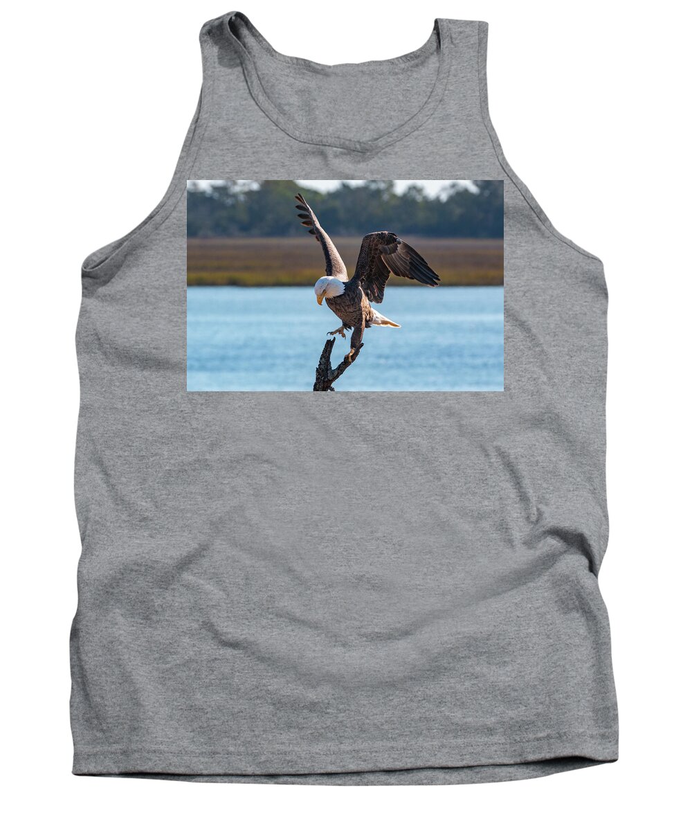 Bald Eagle Tank Top featuring the photograph Bald Eagle Landing by D K Wall