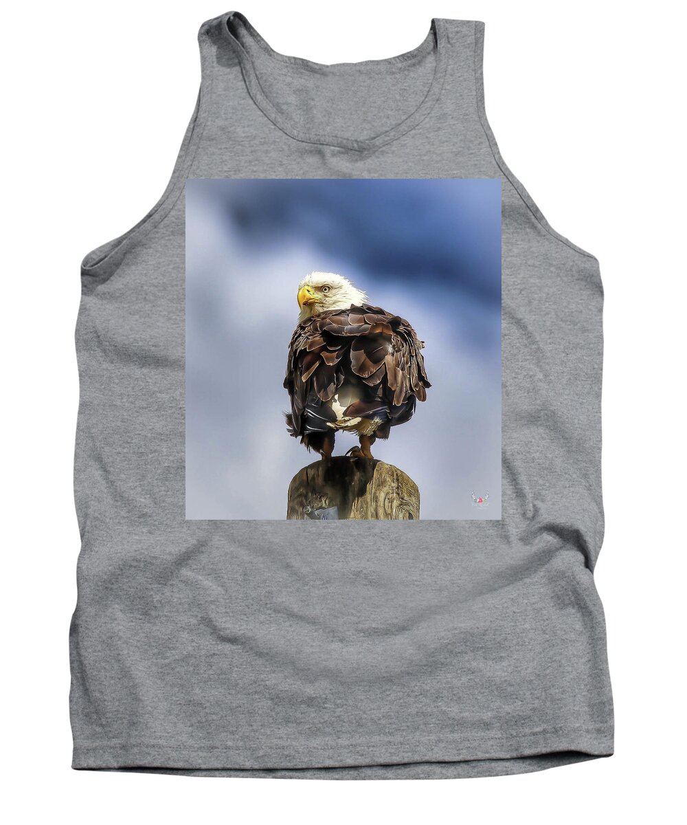 Eagle Tank Top featuring the photograph Bald Eagle by Pam Rendall