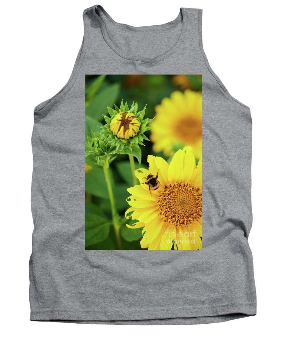 Animal Tank Top featuring the photograph Bee on sunflower by Matteo Del Grosso