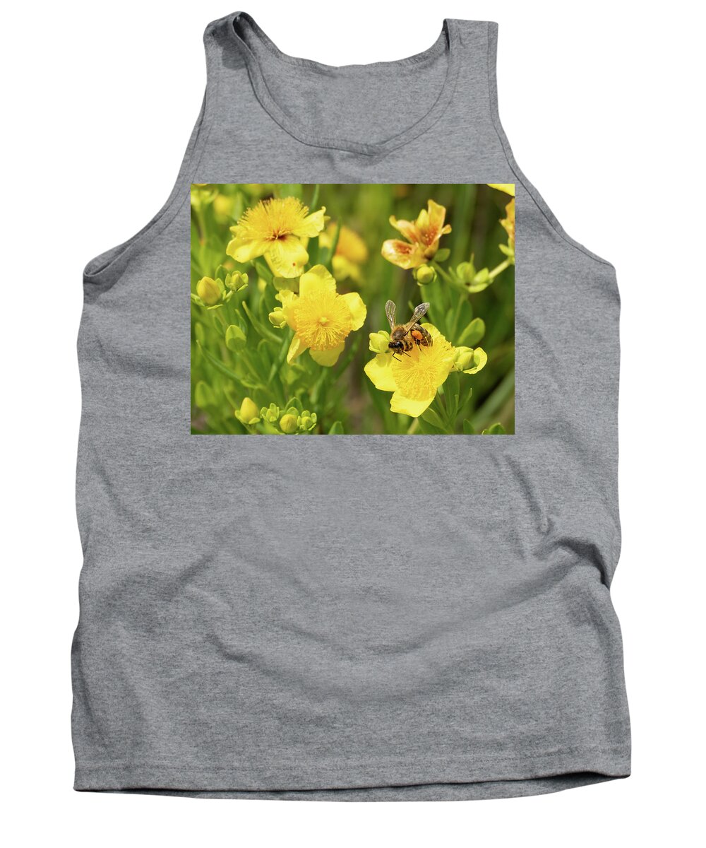  Illinois Beach State Park Tank Top featuring the photograph Bee Resting on a Yellow Flower by David Morehead